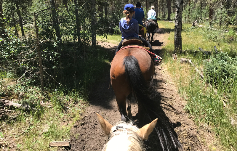 Bob Cat Pass Horse Riding