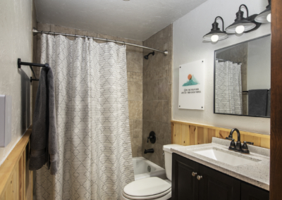 Downstairs bathroom - shower/tub combo
