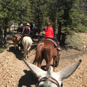 Horseback-Riding-in-Red-River-New-Mexico